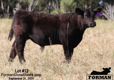 Wynne In Doubt x Maternal Made