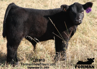 Wynne In Doubt x Daddy’s Money