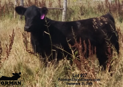 10AK x Amen x Heatseeker