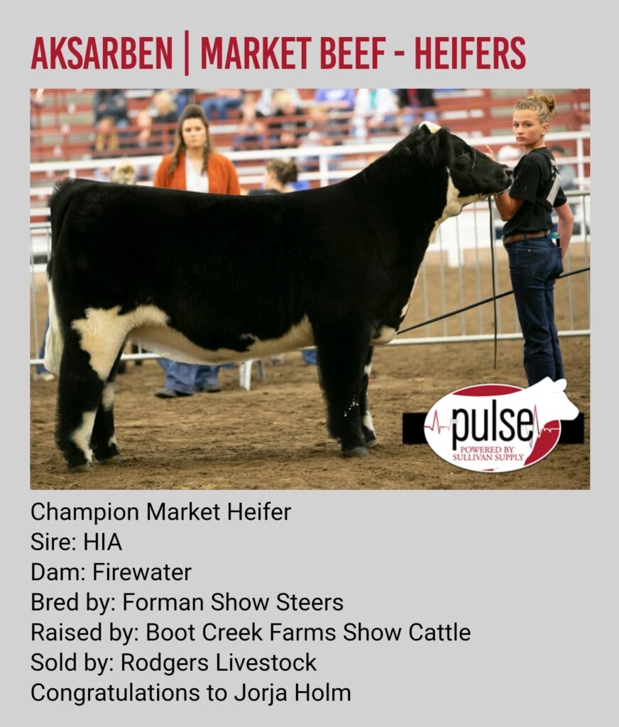 Aksarben-2022 - Champion Market Heifer - Shown by Jorja Holm - HIA - Forman Show Steers - Boot Creek Farms Show Cattle - Rodgers Livestock