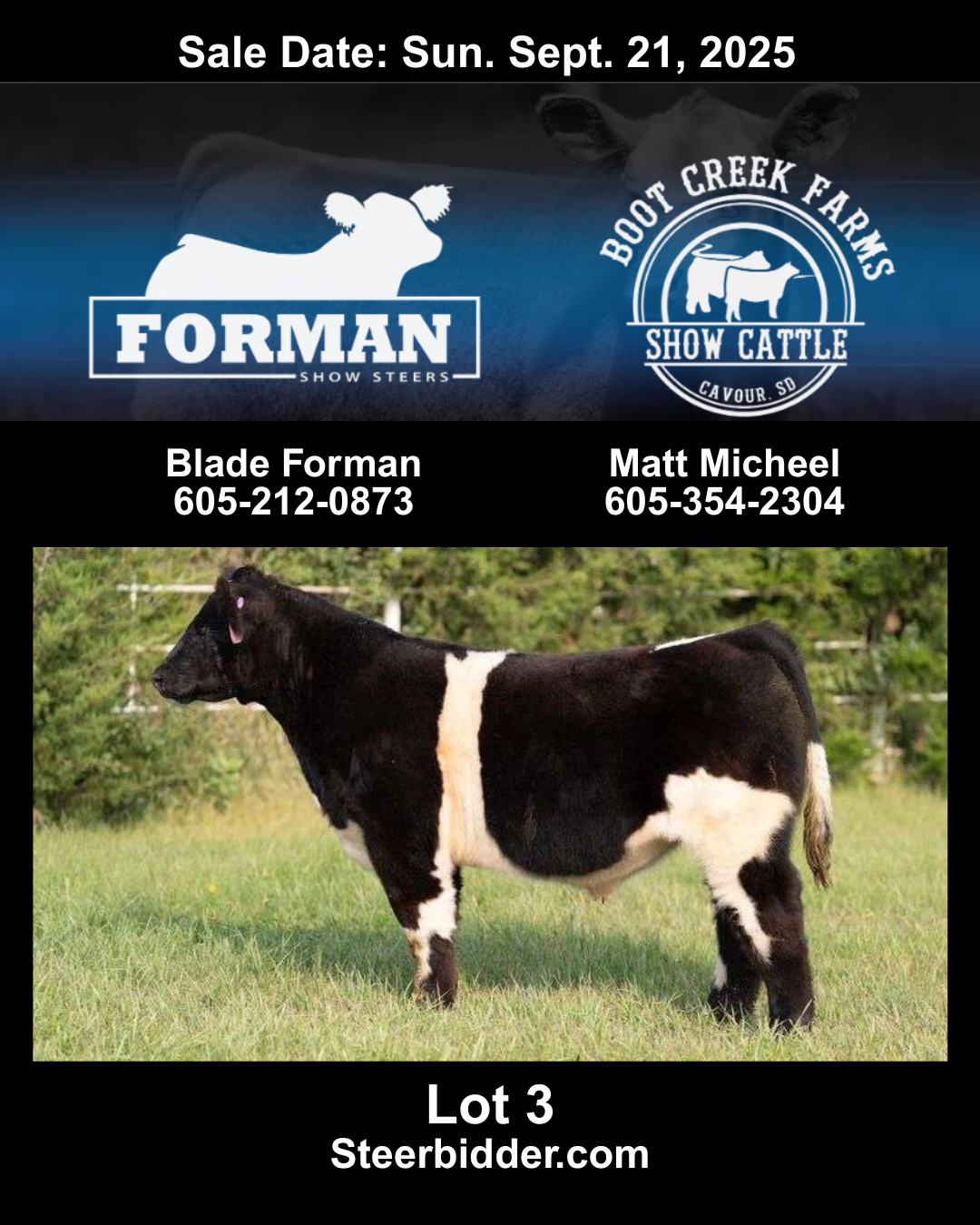 Lot 3 - Forman Show Steers and Boot Creek Farms Show Cattle - Pasture Sale 2025 September 21, 2025